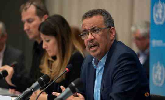 Trung Quốc cho WHO cử đoàn chuyên gia tới nghiên cứu virus corona