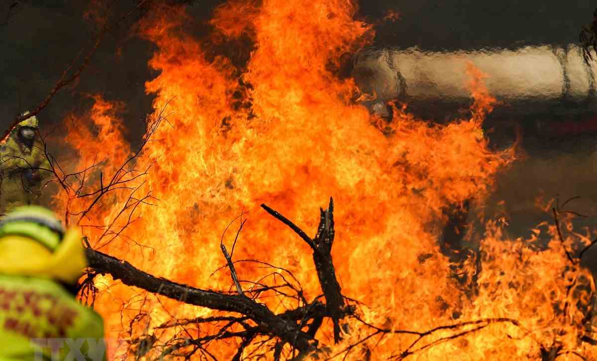 Australia chi tiền điều trị chấn thương tinh thần do cháy rừng gây ra