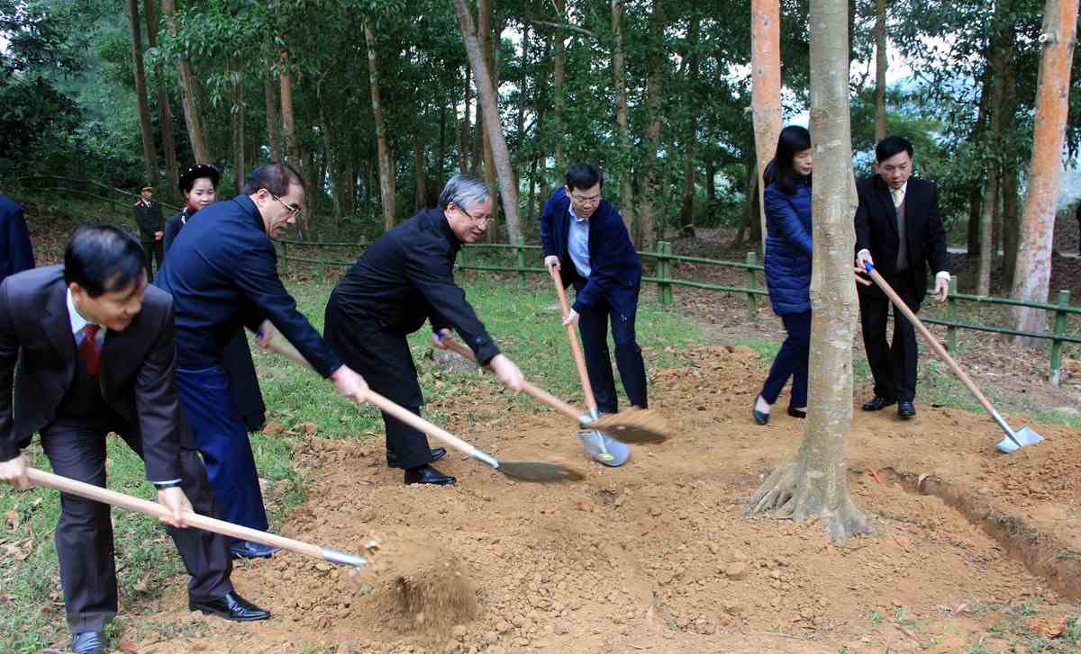 Thường trực Ban Bí thư dự Lễ phát động Tết trồng cây