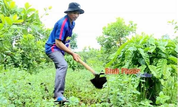 Những gia đ&igrave;nh trẻ người DTTS ti&ecirc;u biểu