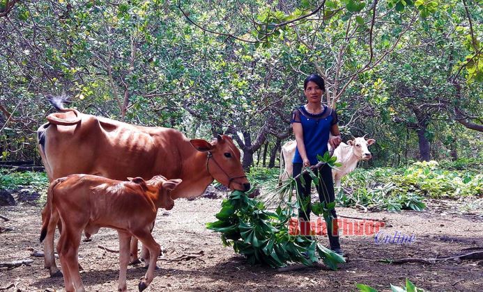 Ngân hàng CSXH Lộc Ninh sát cánh cùng người dân vượt qua đại dịch Covid-19