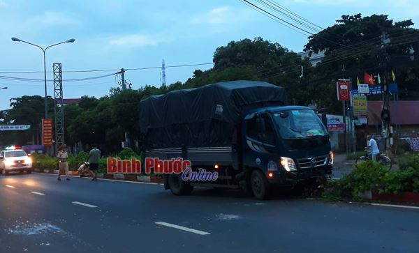 Xe tải mất l&aacute;i leo l&ecirc;n dải ph&acirc;n c&aacute;ch