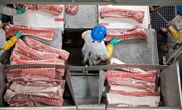 Toàn cầu vượt bão Covid-19 để nuôi 8 tỷ miệng ăn như thế nào