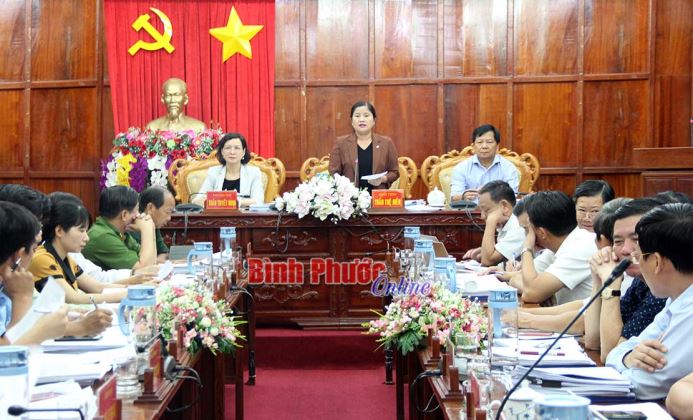 Thống nhất nội dung trình HĐND tỉnh tại kỳ họp giữa năm 2020