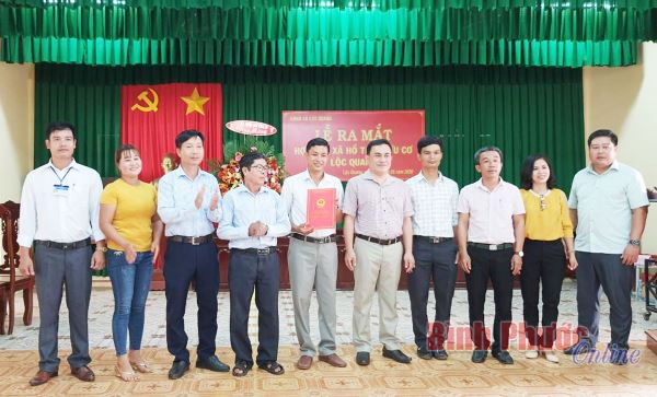 Ra mắt Hợp tác xã hồ tiêu hữu cơ Lộc Quang