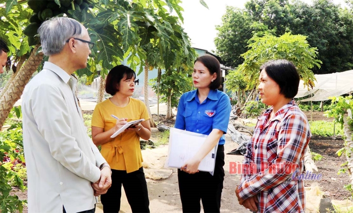 Giám sát việc triển khai thực hiện Luật Khoa học - Công nghệ