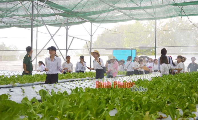 Ng&agrave;nh hậu cần Bộ CHQS tỉnh: Sẵn s&agrave;ng đ&aacute;p ứng y&ecirc;u cầu, nhiệm vụ