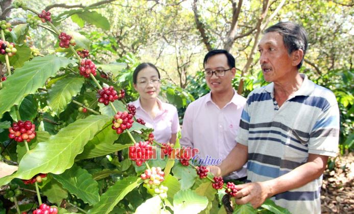 T&iacute;n dụng ch&iacute;nh s&aacute;ch - đ&ograve;n bẩy tho&aacute;t ngh&egrave;o