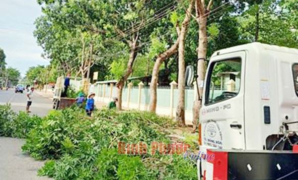 Ðồng Xoài cắt tỉa cây xanh đầu mùa mưa