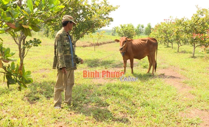 Người dân khu định canh, định cư Lộc Hòa còn nhiều khó khăn