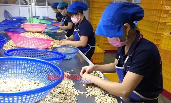 Đưa khoa học và công nghệ vào cuộc sống