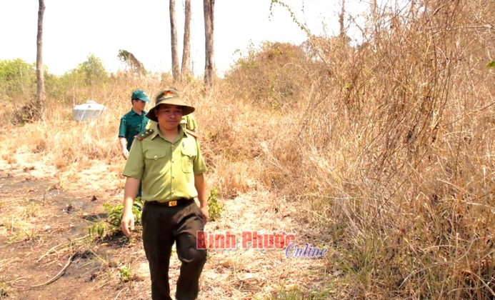 5 năm, Đồng Phú không xảy ra cháy rừng