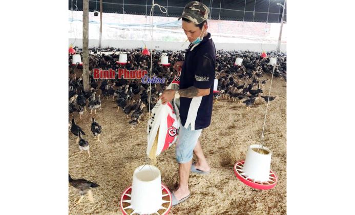 Hướng đi bền vững cho nông nghiệp Lộc Ninh