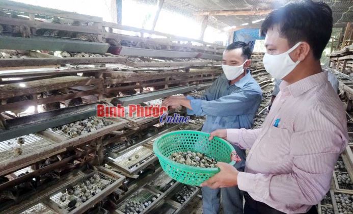 Tín dụng chính sách tiếp sức nhà nông