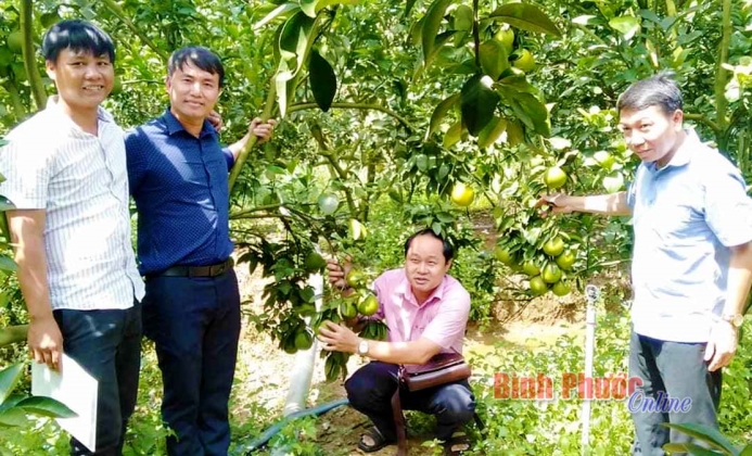 Lộc Ninh phát triển kinh tế tập thể từ ứng dụng công nghệ