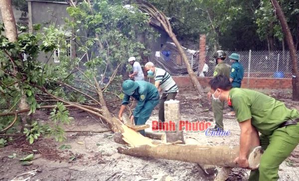 Minh Thắng: Lốc xoáy gây thiệt hại nặng