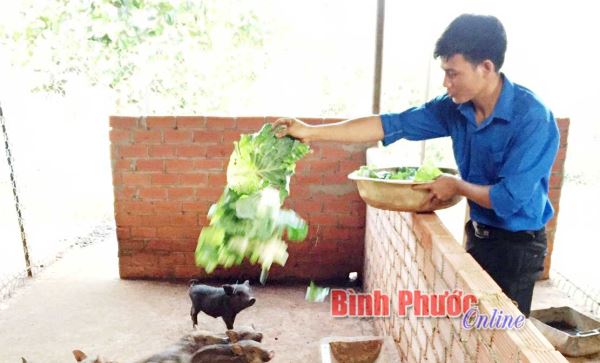 Thanh niên tiêu biểu sản xuất giỏi