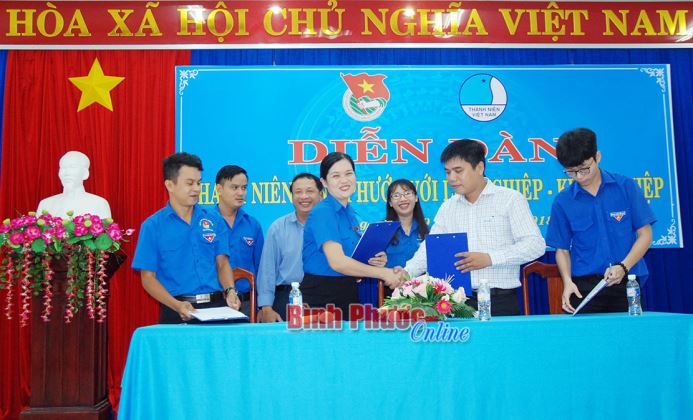 Tìm chỗ đứng cho kinh tế tập thể thanh niên - Bài cuối