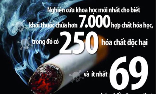 Trong thành phần của thuốc lá có chứa đường