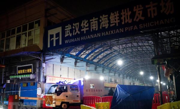 Australia ủng hộ kêu gọi của EU tiến hành điều tra nguồn gốc COVID-19