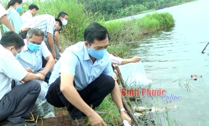 Lộc Ninh phát động thả bổ sung giống thủy sản