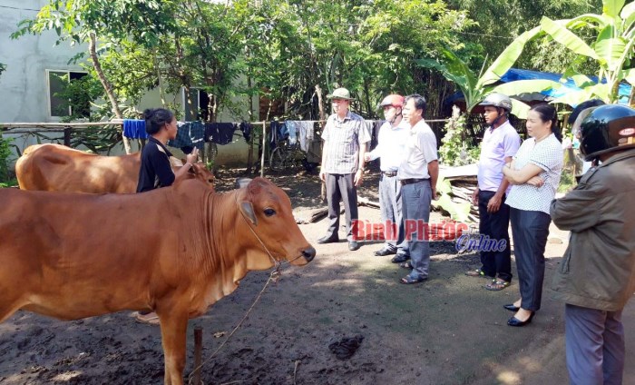 R&agrave; so&aacute;t số liệu để x&acirc;y dựng chương tr&igrave;nh ph&aacute;t triển kinh tế - x&atilde; hội v&ugrave;ng DTTS s&aacute;t thực tế