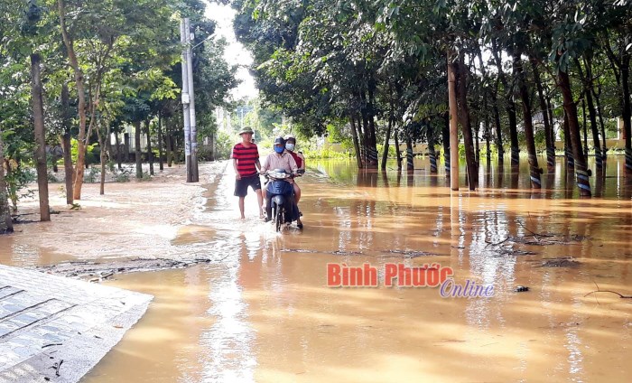 Nước ngập một số khu vực Suối Rạt thuộc Đồng Xoài, Đồng Phú