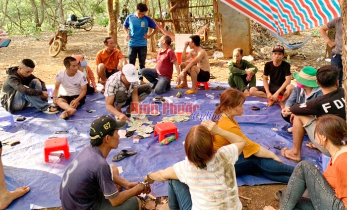 Ph&aacute; s&ograve;ng bạc lớn b&ecirc;n b&igrave;a rừng