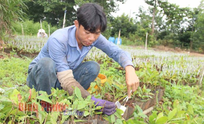 PN1 - Hướng tới phát triển bền vững