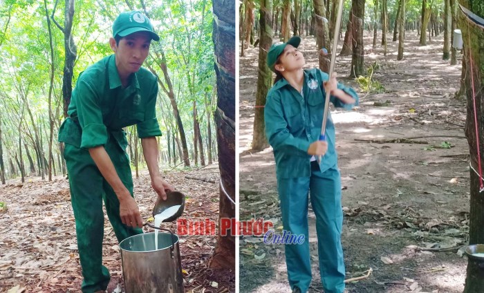 &ldquo;B&agrave;n tay v&agrave;ng&rdquo; khơi d&ograve;ng nhựa trắng