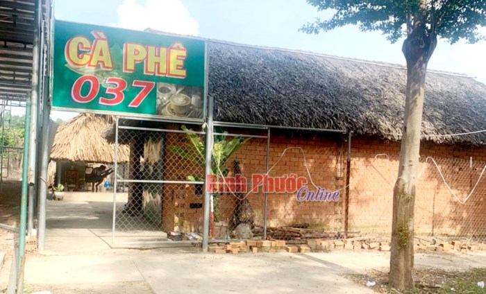 Bắt khẩn cấp chủ qu&aacute;n c&agrave; ph&ecirc; m&ocirc;i giới mại d&acirc;m