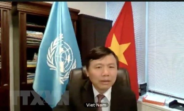 Hội đồng Bảo an LHQ họp về hoạt động hòa bình và quyền con người