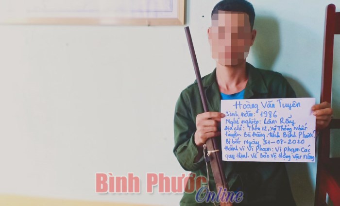 Dùng súng tự chế vào rừng bắt 7 cá thể cheo, 2 cá thể cầy hương
