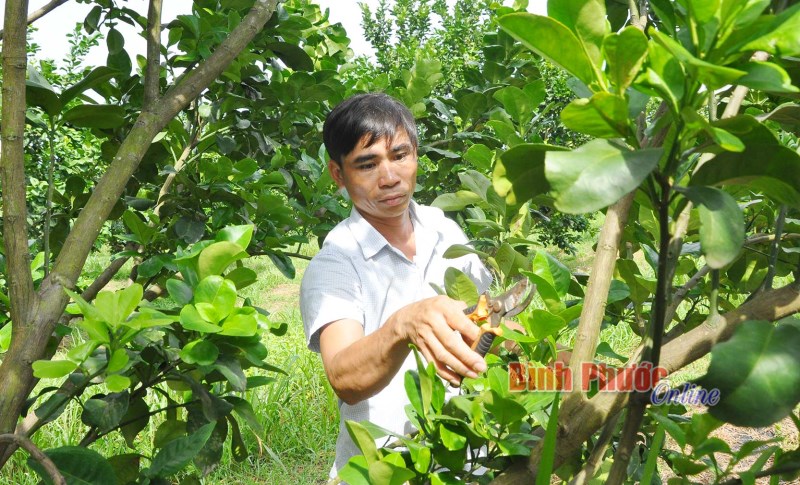 Hướng đến n&ocirc;ng nghiệp gắn kết