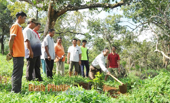 Vị mục sư tỏa sáng giữa đời thường