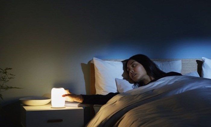 Phát hiện tế bào thần kinh đóng vai trò quan trọng điều chỉnh giấc ngủ