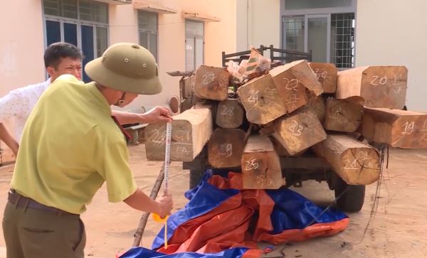 Bản tin 100 độ ngày 16-7: Nổ súng bắt giữ đối tượng vận chuyển gỗ lậu