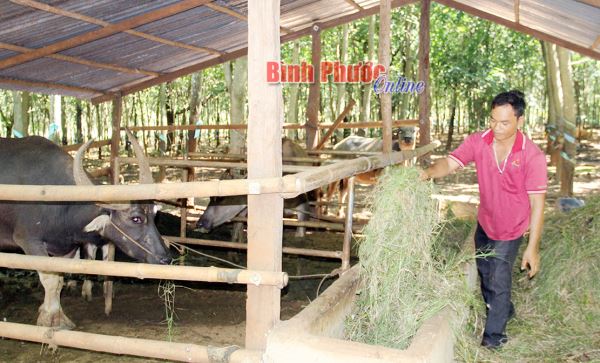 Chú trọng phát triển đảng viên DTTS ở vùng biên