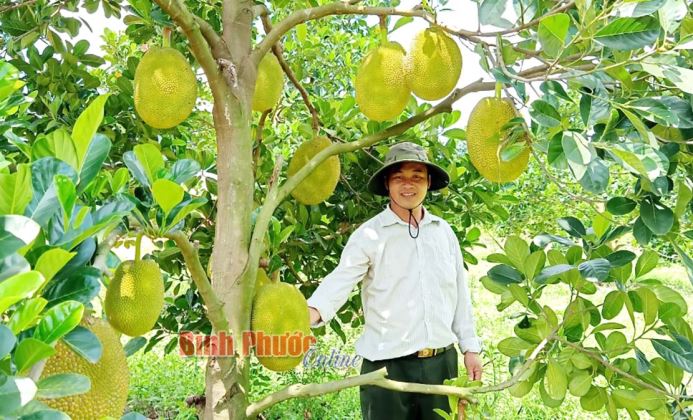 Đòn bẩy phát triển kinh tế, xã hội huyện Bù Đốp