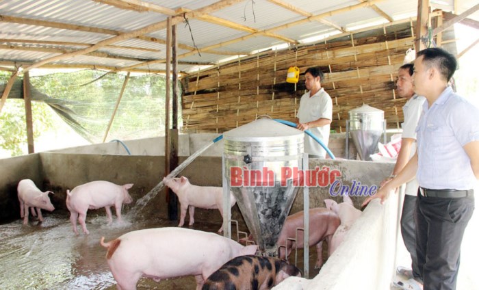 Linh hoạt trước biến động thị trường