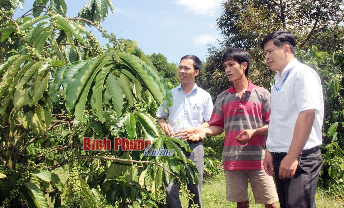 Lan tỏa việc l&agrave;m thiết thực theo gương B&aacute;c