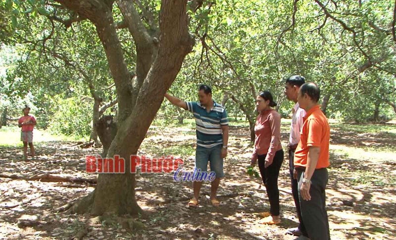 Ph&uacute; Riềng tập trung giảm ngh&egrave;o v&ugrave;ng đặc biệt kh&oacute; khăn