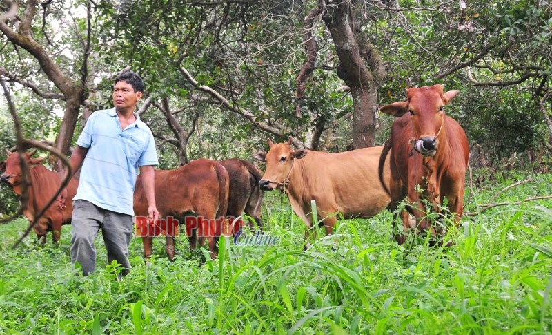 &ldquo;Đ&ograve;n bẩy&rdquo; gi&uacute;p người d&acirc;n v&ugrave;ng bi&ecirc;n tho&aacute;t ngh&egrave;o