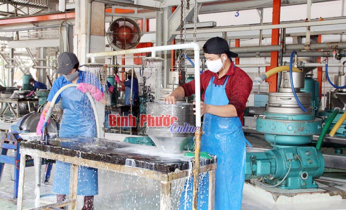 Cao su Lộc Ninh: Vượt khó để giữ vững thương hiệu