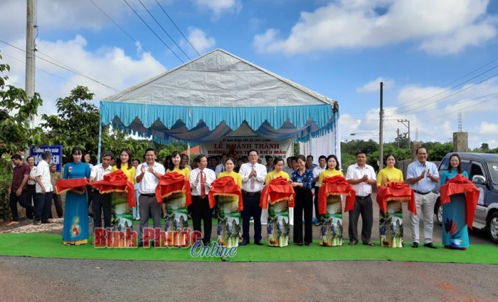 Kh&aacute;nh th&agrave;nh đường n&ocirc;ng th&ocirc;n kiểu mẫu tại x&atilde; Long Giang