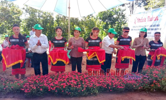 Phước An kh&aacute;nh th&agrave;nh đường b&ecirc; t&ocirc;ng theo cơ chế đặc th&ugrave;