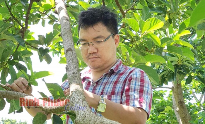 Nông trang Thiên Nông vươn tới nền nông nghiệp xanh