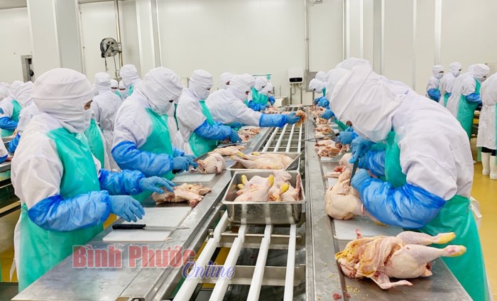 Ðộng lực để Bình Phước “cất cánh” - Bài cuối