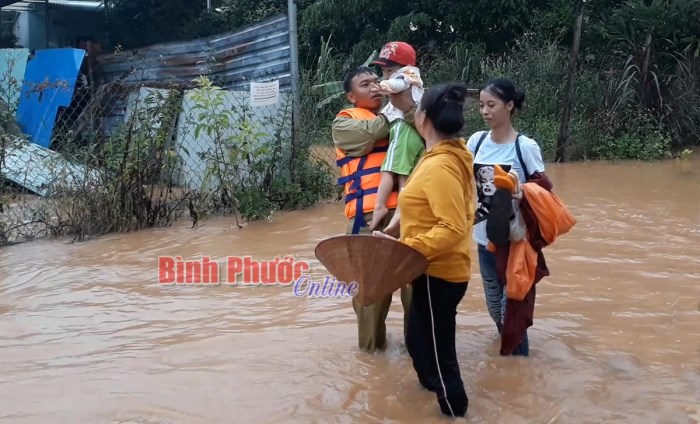 Nước lũ Suối Rạt gây ngập 137 căn nhà và 215 ha cây trồng