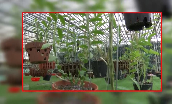 Bản tin 100 độ ngày 20-8: Cần tỉnh táo khi giao dịch lan đột biến